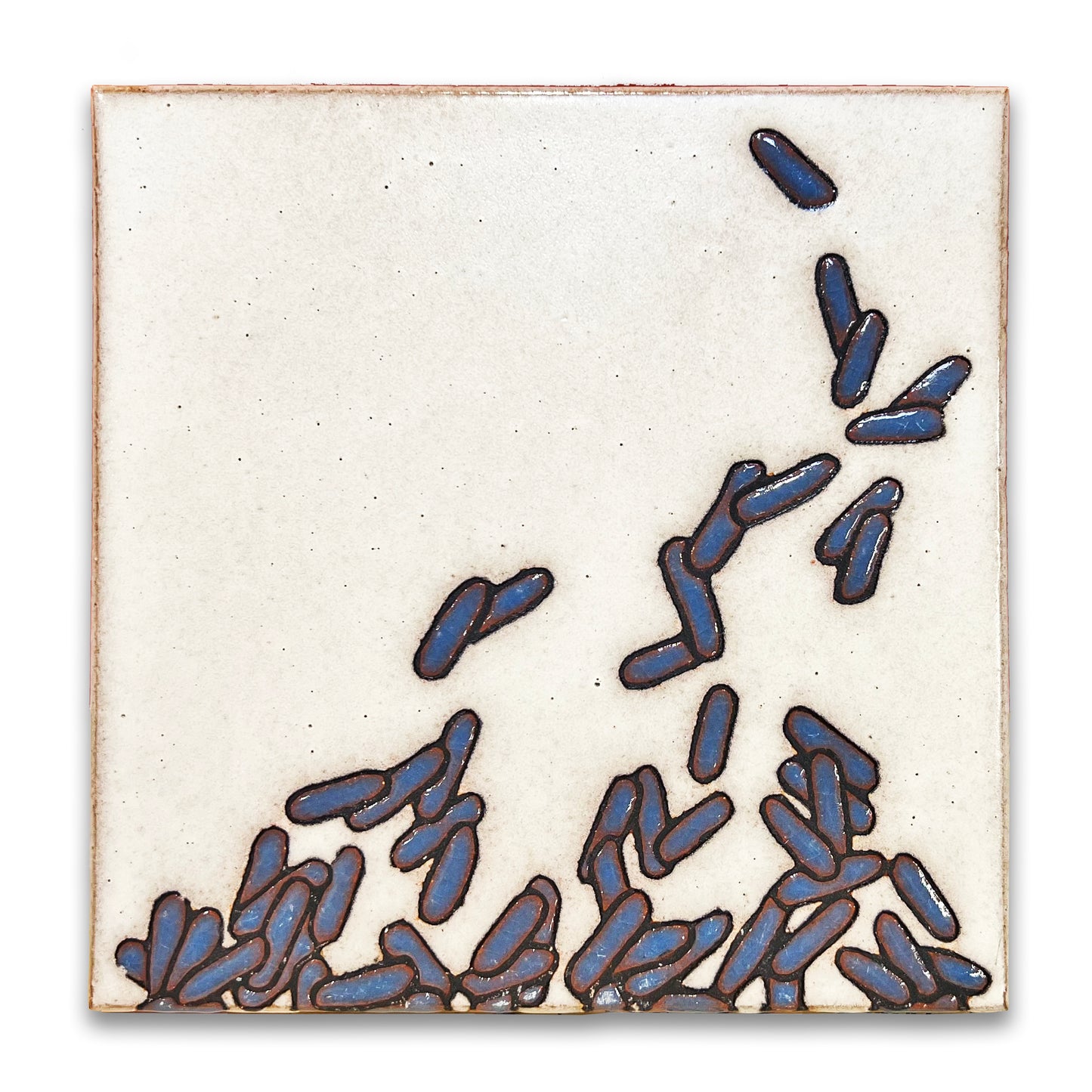 CarbonShack Signature Tiles