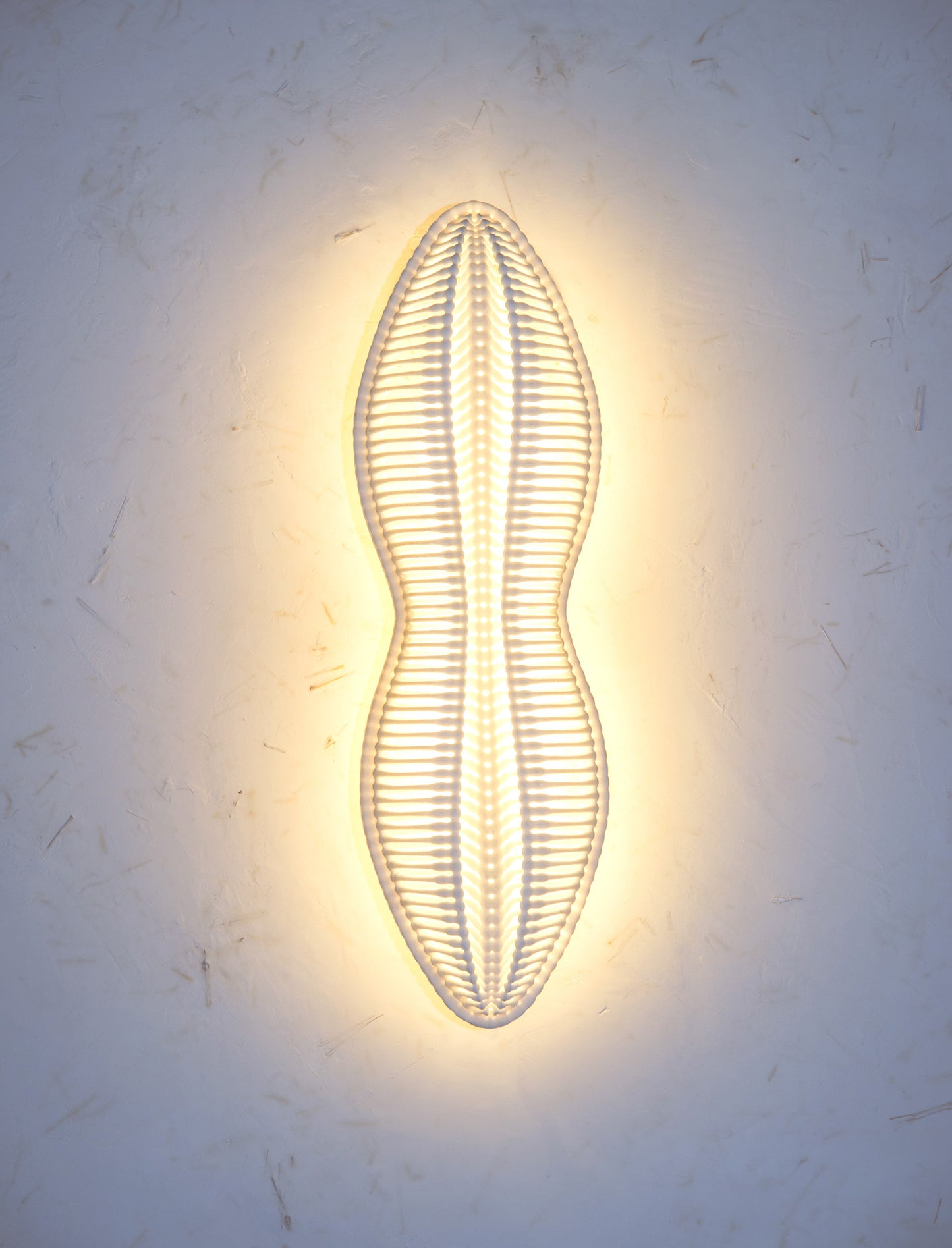 LED Wall Sconce- Peanut