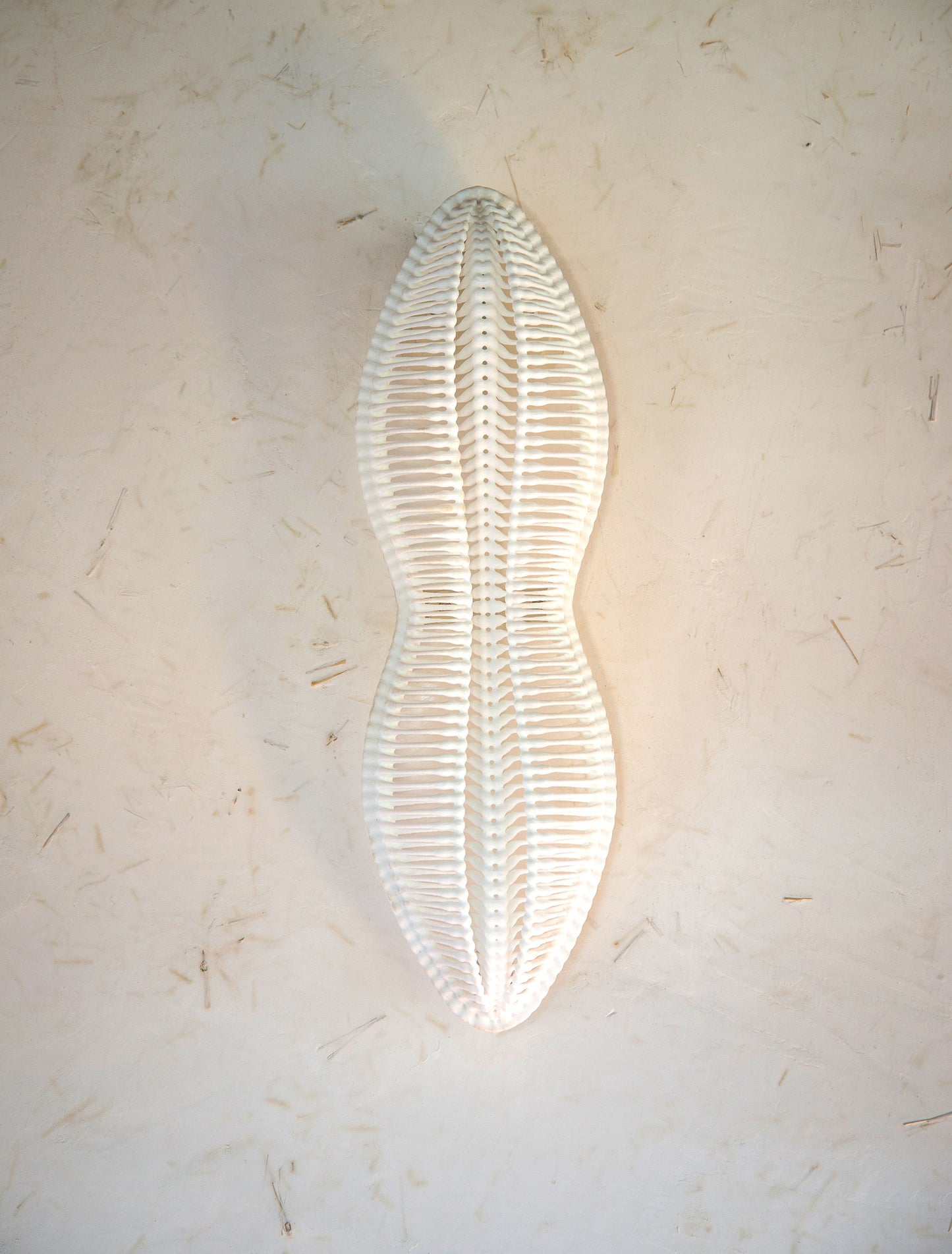 LED Wall Sconce- Peanut