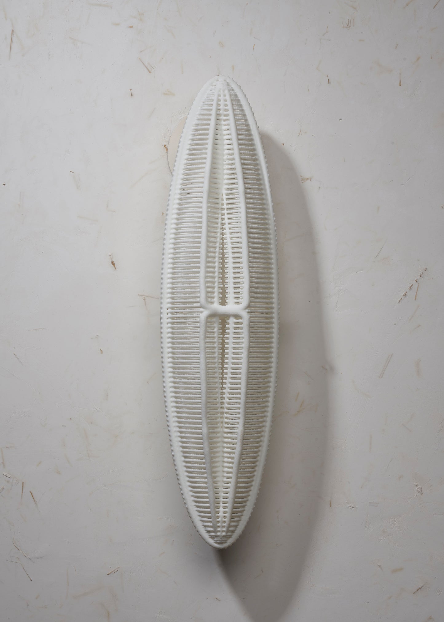 LED Wall Sconce- Ellipse