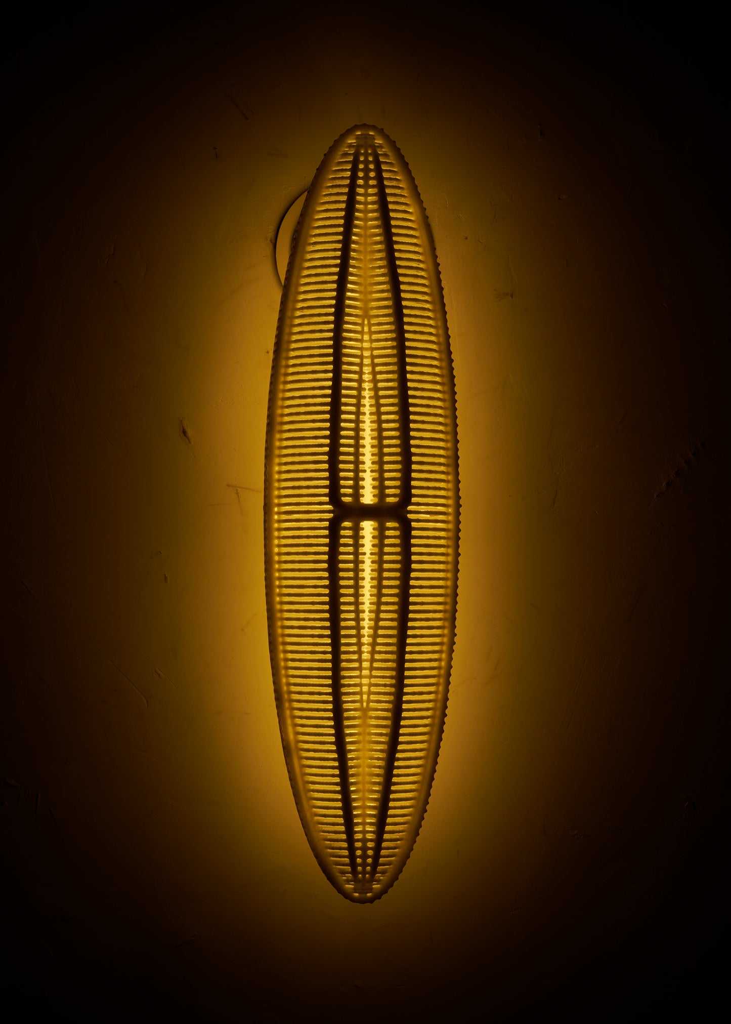 LED Wall Sconce- Ellipse
