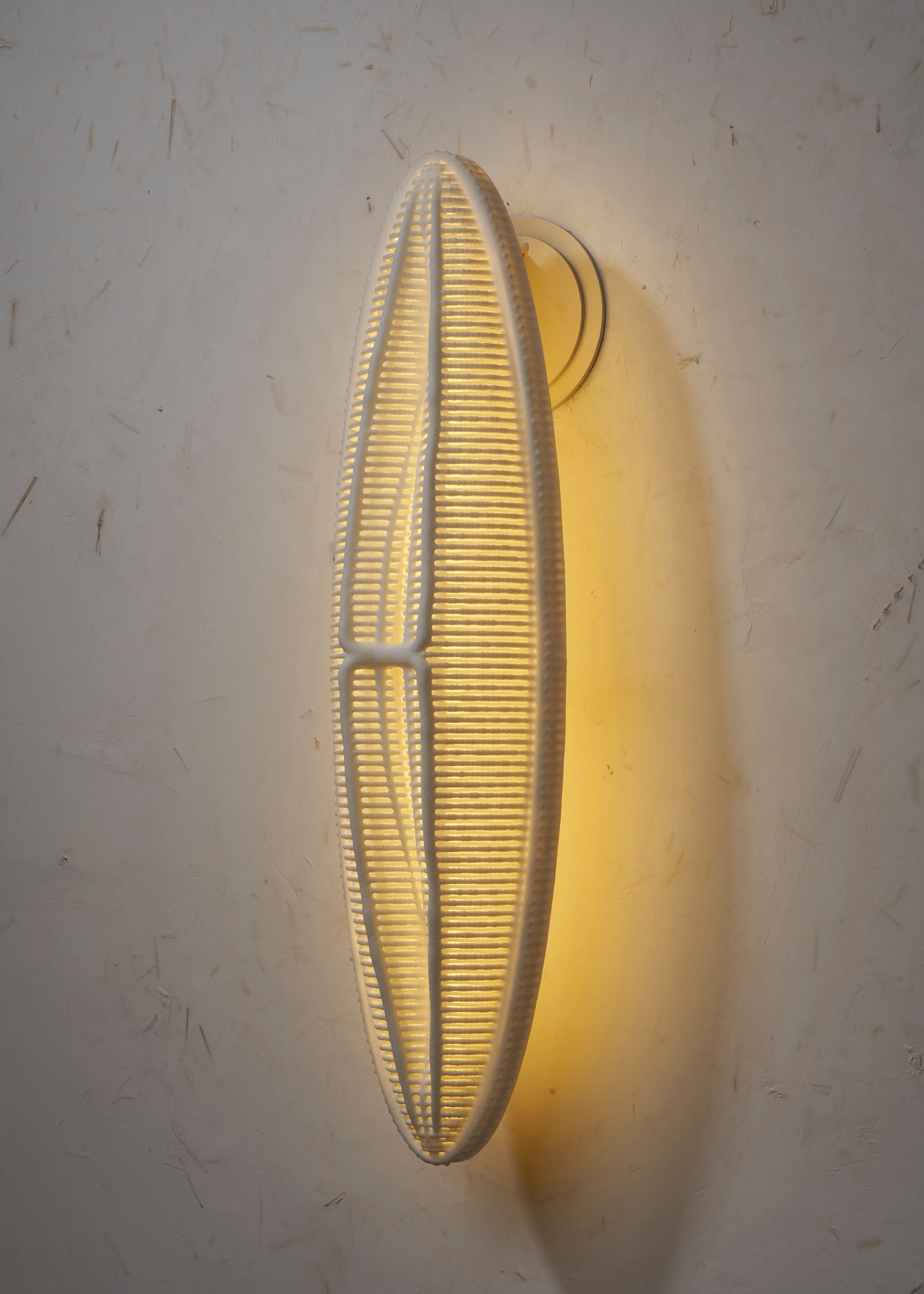 LED Wall Sconce- Ellipse