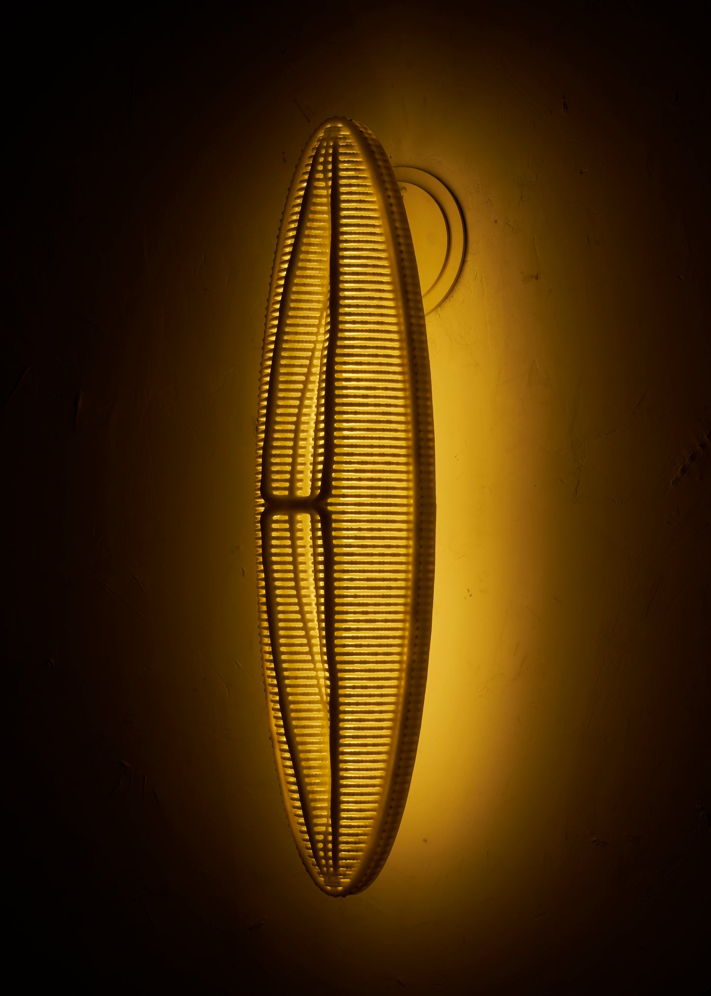LED Wall Sconce- Ellipse