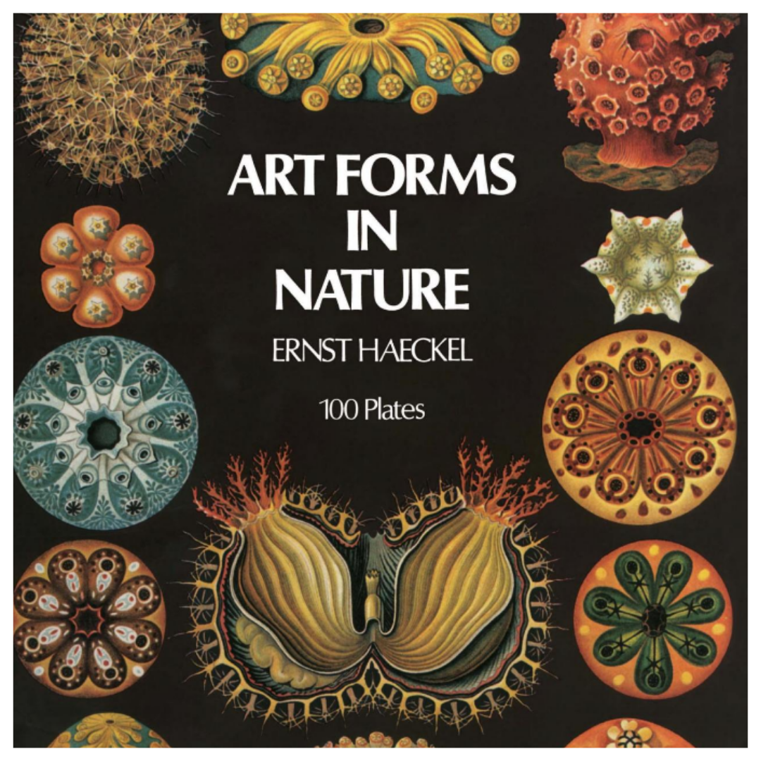 Art Forms in Nature by Ernst Haeckel: Prints for Artists, Designers and Nature Lovers