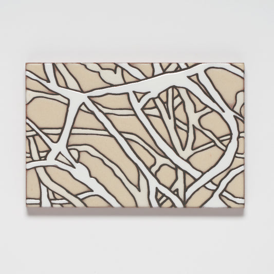 CarbonShack Signature Tiles