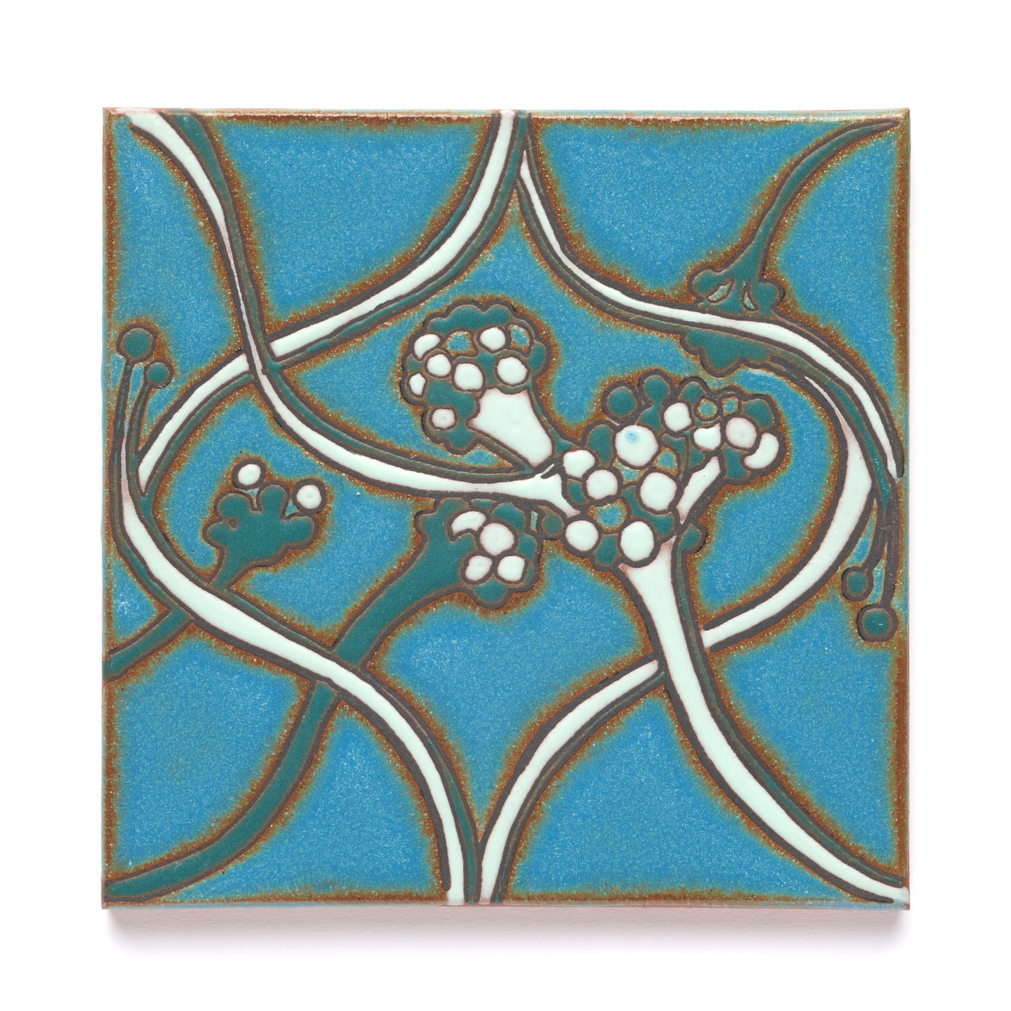 CarbonShack Signature Tiles